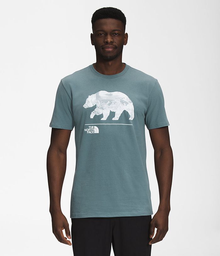 The North Face Mens T-Shirts Bearscape Short Sleeve 403DHYBPZ - Blue